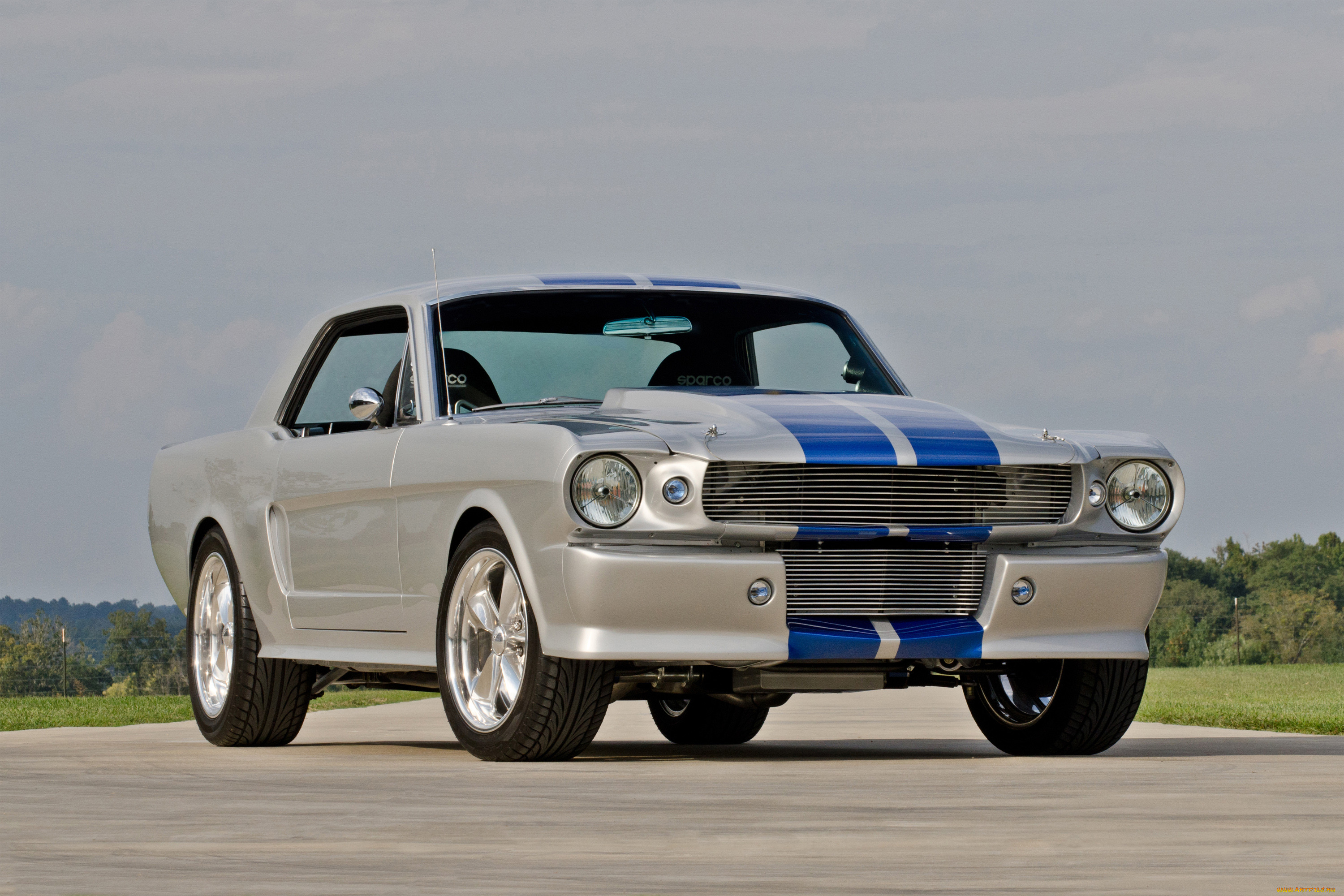 , mustang